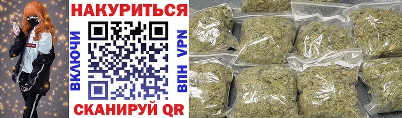 купить наркотик  Шагонар  Конопля сатива 